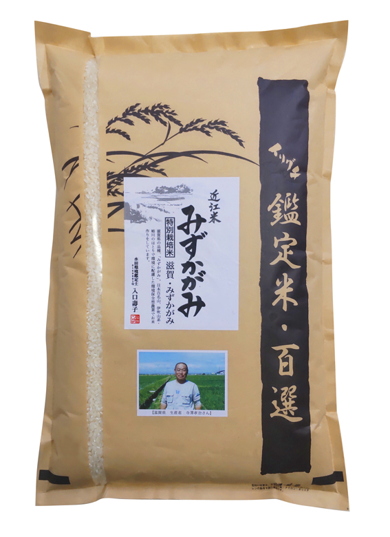 アッキーうるち米精米 R7年産 新米受付《定期便11ヶ月》秋田県産あきたこまち8kg【白米